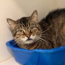 Thumbnail photo of Tony #1