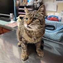 Thumbnail photo of Tony #2