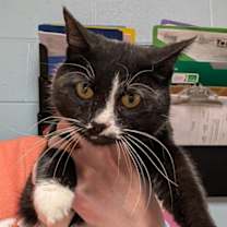 Thumbnail photo of Elsa #3