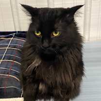 Thumbnail photo of Mila #1