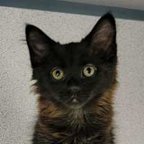 Thumbnail photo of Mila #2