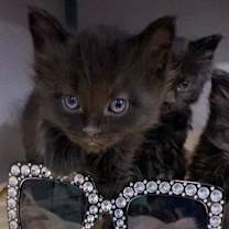 Thumbnail photo of Mila #3