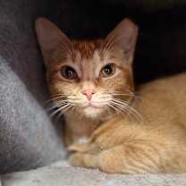 Thumbnail photo of Babette #4