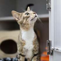 Thumbnail photo of Jordon #3