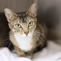 Thumbnail photo of Jordon #4