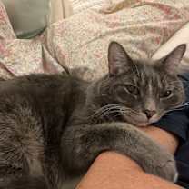 Thumbnail photo of Kona and Tipsy #3