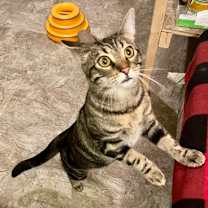 Thumbnail photo of Winnie #1