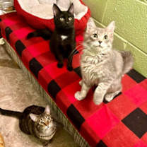 Thumbnail photo of Winnie #2