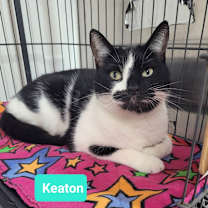 Thumbnail photo of Keaton-Sponsored #1