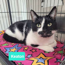 Thumbnail photo of Keaton-Sponsored #2