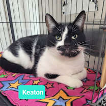 Thumbnail photo of Keaton-Sponsored #3