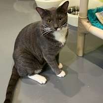 Thumbnail photo of Wyatt #2