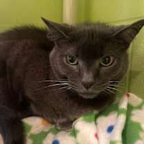 Thumbnail photo of Natasha #1