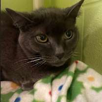 Thumbnail photo of Natasha #2