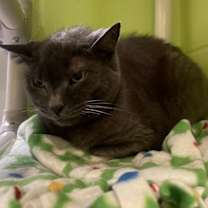 Thumbnail photo of Natasha #3