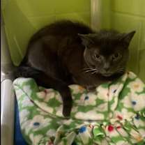 Thumbnail photo of Natasha #4