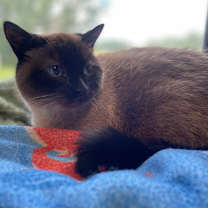 Thumbnail photo of Tia #2