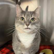 Thumbnail photo of Missy #3