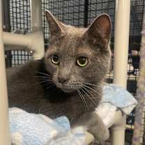 Thumbnail photo of Frosty #2