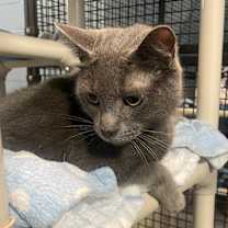 Thumbnail photo of Frosty #3