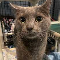 Thumbnail photo of Frosty #4