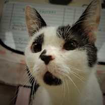 Thumbnail photo of Charlotte #2