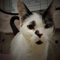 Thumbnail photo of Charlotte #3