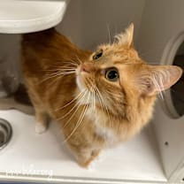 Thumbnail photo of Mrs. Grinch #2