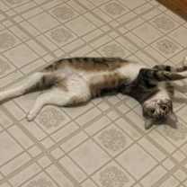 Thumbnail photo of Minnie RM #1