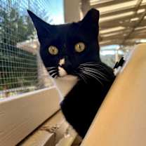 Thumbnail photo of Oliver #2