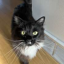 Thumbnail photo of Tessa #1