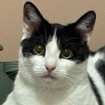 Thumbnail photo of Bonnie #3