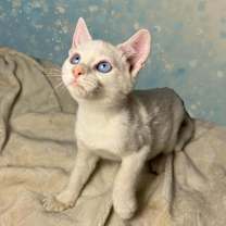 Thumbnail photo of Equality #1