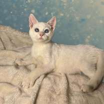 Thumbnail photo of Equality #2