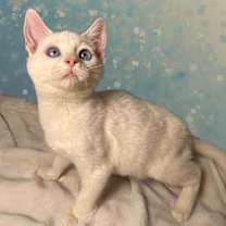 Thumbnail photo of Equality #4