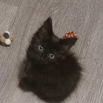 Thumbnail photo of Lucy #4