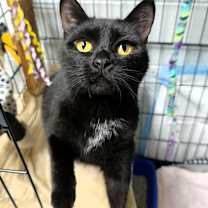 Thumbnail photo of Rain #1