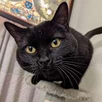 Thumbnail photo of Ella Vader #1