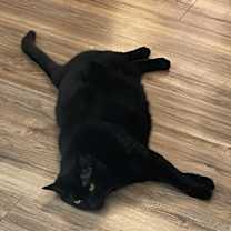 Thumbnail photo of Ella Vader #3