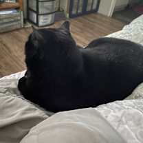 Thumbnail photo of Ella Vader #4