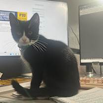 Thumbnail photo of Elric #3