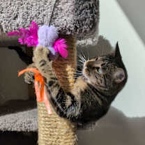 Thumbnail photo of Madeleine #2