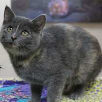 Thumbnail photo of Eira #3