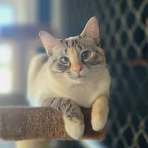 Thumbnail photo of Rowan #1