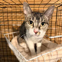 Thumbnail photo of Amelia Ardmore #2