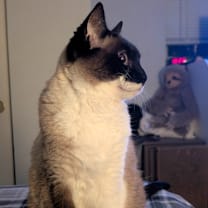 Thumbnail photo of Lucy #4