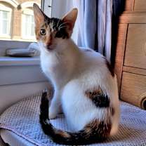 Thumbnail photo of Claire #1