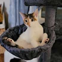 Thumbnail photo of Claire #2