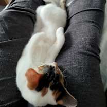 Thumbnail photo of Claire #3