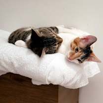 Thumbnail photo of Claire #4